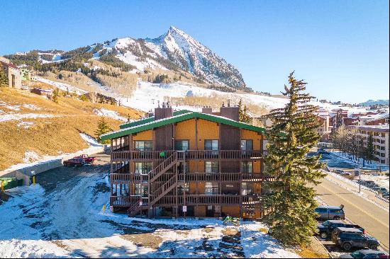 35 Emmons Road, Mt. Crested Butte, CO, 81225, USA