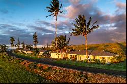 56-56 Old Coast Guard Road, Hawi, HI 96719