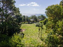 Exceptional lot in Punta Ballena.