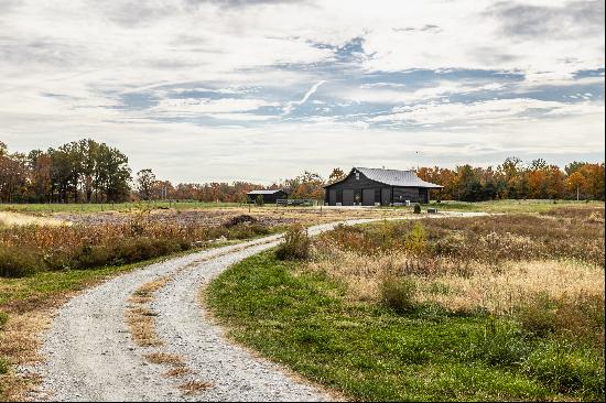 Your Dream Oasis 13.3 Acres of Private Serenity