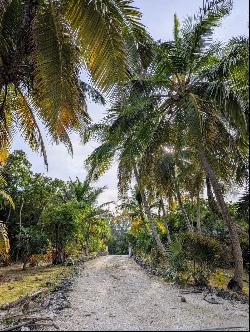 QUEEN'S HIGHWAY, Other Exuma 