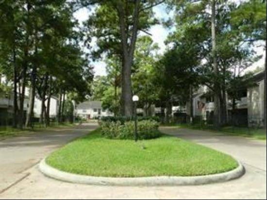 14911 Wunderlich Drive Unit 1201, Houston TX 77069