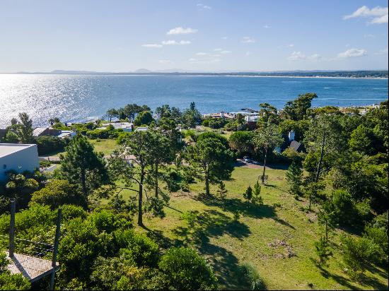 Exceptional land in Punta Ballena.