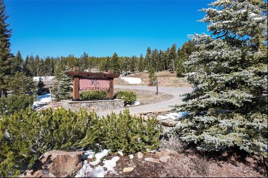 389 Antler Ridge Road, Big Sky MT 59716