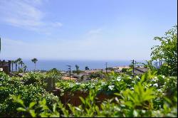 1140 Avenida Amantea, La Jolla CA 92037