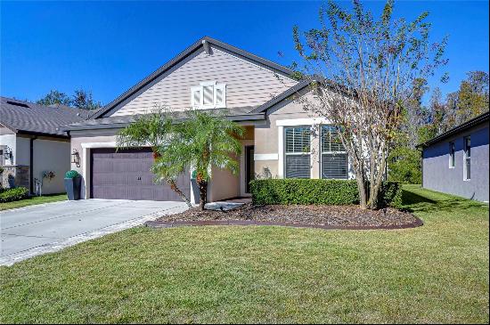 4956 Rolling Green Drive, Wesley Chapel FL 33543