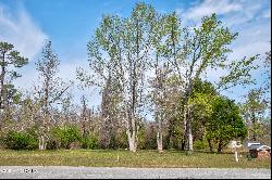 Tract A-2 Nc 133, Rocky Point NC 28457