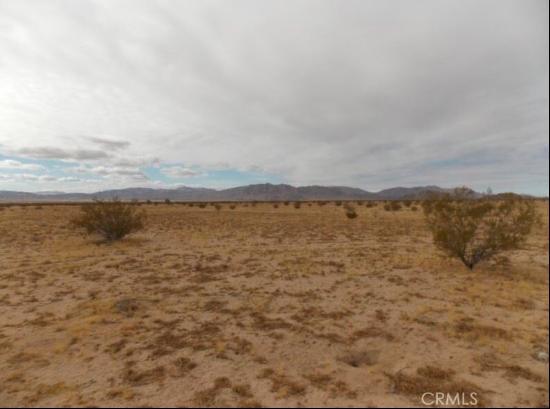 Lucerne Valley