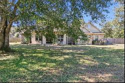 1095 Magnolia Trace, Silsbee TX 77656