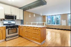 400 E randolph Street #2914, Chicago IL 60601