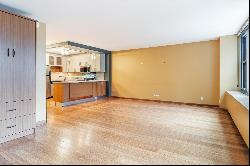 400 E randolph Street #2914, Chicago IL 60601