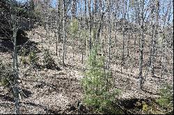 Lot #3 New Trillium Way, Cashiers, NC 28717