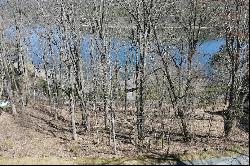 Lot #3 New Trillium Way, Cashiers, NC 28717