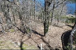 Lot #3 New Trillium Way, Cashiers, NC 28717