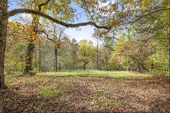 Build Your Dream Estate or Family Compound on 11.79+/- Acres of Rolling Pastures