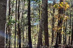 Lot 4 Rendezvous Ridge Road, Cashiers, NC 28741