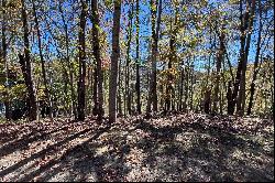 Lot 4 Rendezvous Ridge Road, Cashiers, NC 28741