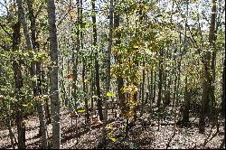 Lot 4 Rendezvous Ridge Road, Cashiers, NC 28741