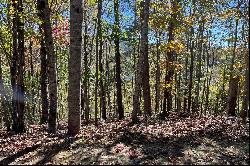 Lot 4 Rendezvous Ridge Road, Cashiers, NC 28741