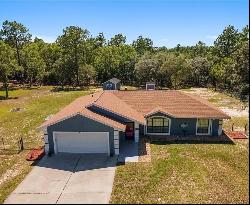 422 SW Hunter Hill Avenue, Dunnellon FL 34431