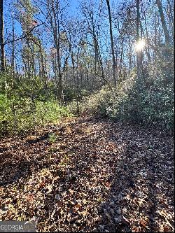 Lot 37 Spring Cove Trail, Lakemont GA 30552