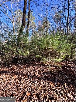 Lot 37 Spring Cove Trail, Lakemont GA 30552