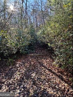 Lot 37 Spring Cove Trail, Lakemont GA 30552