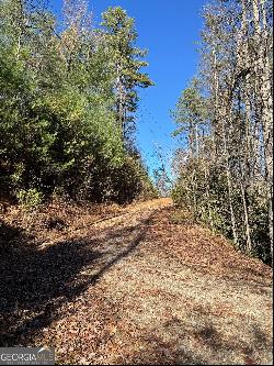 Lot 37 Spring Cove Trail, Lakemont GA 30552