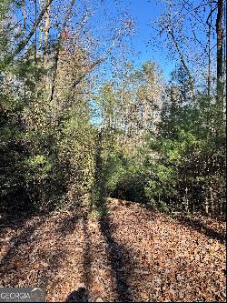 Lot 37 Spring Cove Trail, Lakemont GA 30552