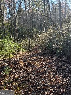 Lot 37 Spring Cove Trail, Lakemont GA 30552