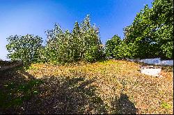 Building plot, Central Bohemian Region - Drahnovice ID: 0912