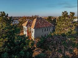 Voinea Mansion, the timeless beauty of the 19th century architecture