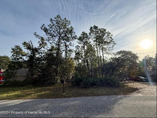 Long Lake Avenue, Weeki Wachee FL 34613