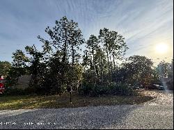 Long Lake Avenue, Weeki Wachee FL 34613