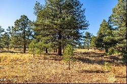 3575 S Lariat Loop, Flagstaff AZ 86005