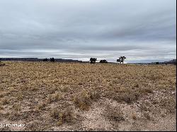 . Sierra Verde Ranch, Seligman AZ 86337