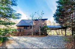 199 Muller Lane, Ellijay GA 30540