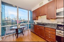 1201 S Prairie Avenue #402, Chicago IL 60605