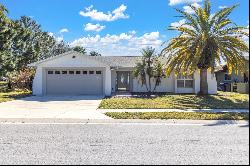 7218 Box Elder Drive, Port Richey FL 34668