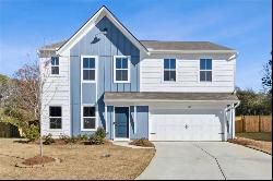 148 Soave Terrace Ter, Braselton GA 30517