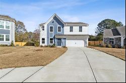 148 Soave Terrace Ter, Braselton GA 30517