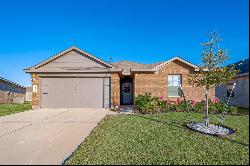 21222 Frosted Fern Lane, Katy TX 77449