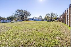 4043 Fox Ridge Boulevard, Wesley Chapel FL 33543