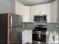 53 Chicago Avenue #2, Oak Park IL 60302