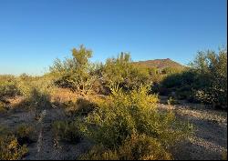 Gambel Quail 6