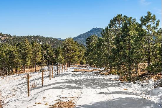 Central Evergreen Acreage