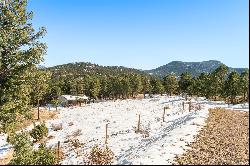 Central Evergreen Acreage