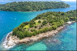 Private paradise island with preserved vegetation and development potential