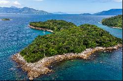 Private paradise island with preserved vegetation and development potential