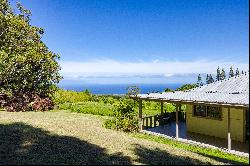 55-1102 Kaauhuhu Homestead Road, Hawi, HI 96719